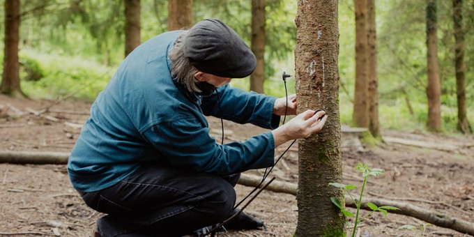 A photo of Jez riley French recording sounds of the trees in the Forest of Dean.