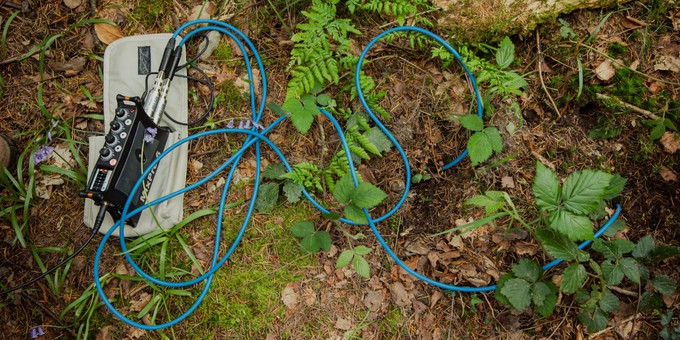 A photo of recording equipment and wires on the ground in the Forest.