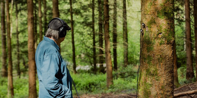 A photo of artist Jez riley French recording sounds in the Forest of Dean.