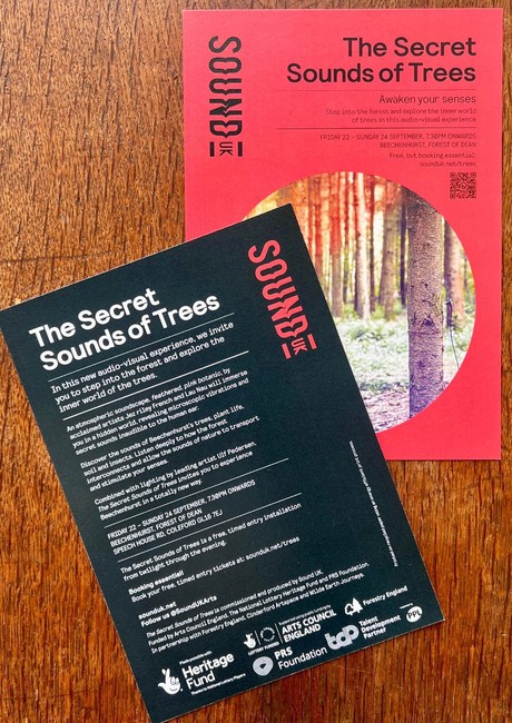The Secret Sounds of Trees flyer The Secret Sounds of Trees flyer