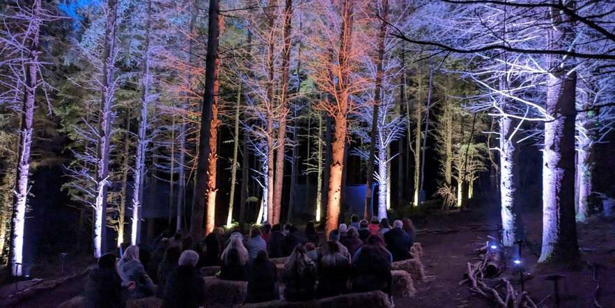A photo of The Secret Sounds of Trees - audiences sit on hay bales in the foreground, sitting in a forest with the trees lit up in colours by uplights.