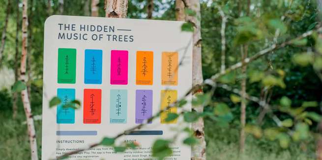 The Hidden Music of Trees image