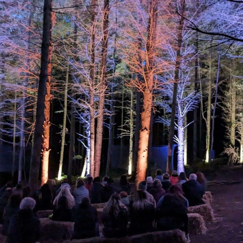 A photo of The Secret Sounds of Trees - audiences sit on hay bales in the foreground, sitting in a forest with the trees lit up in colours by uplights.
