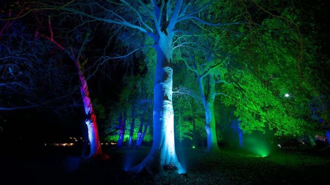 alight up 2 bottom pic gallery 