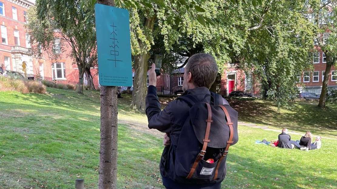 The Hidden Music of Trees image