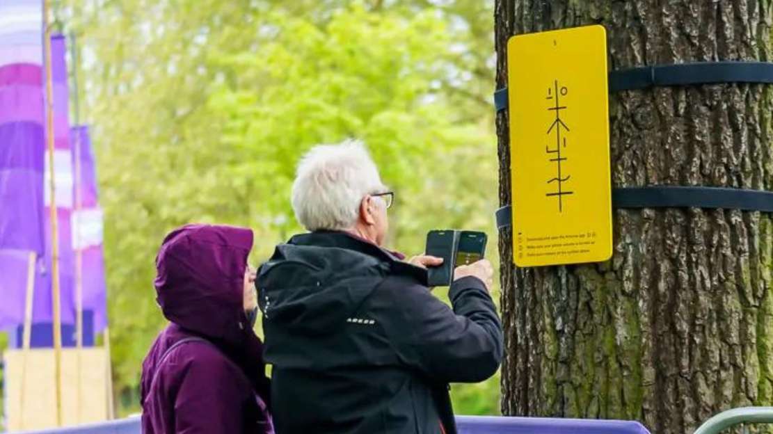 The Hidden Music of Trees image