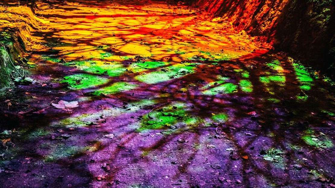 alight up bottom pic gallery 