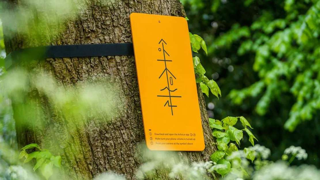 The Hidden Music of Trees image