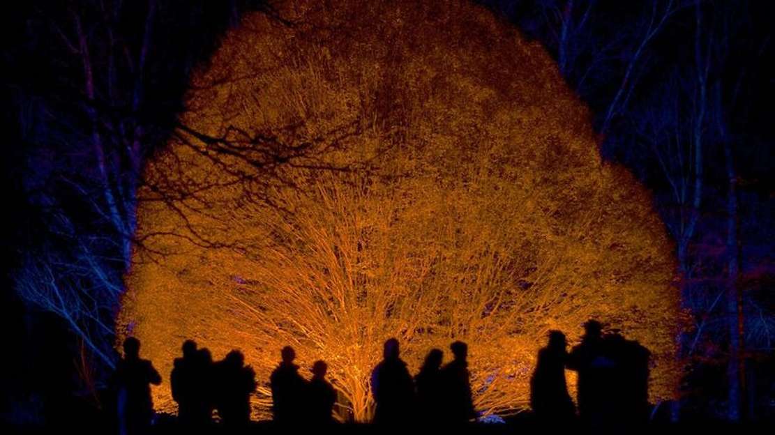 uff landscape bottom pic gallery 