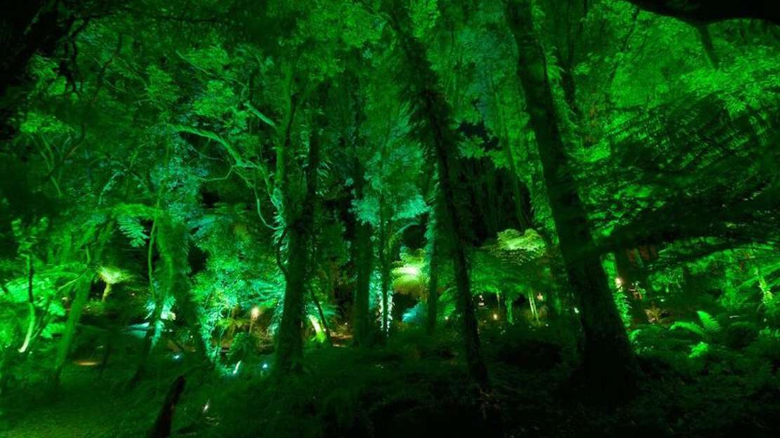 uff landscape 2 bottom pic gallery 